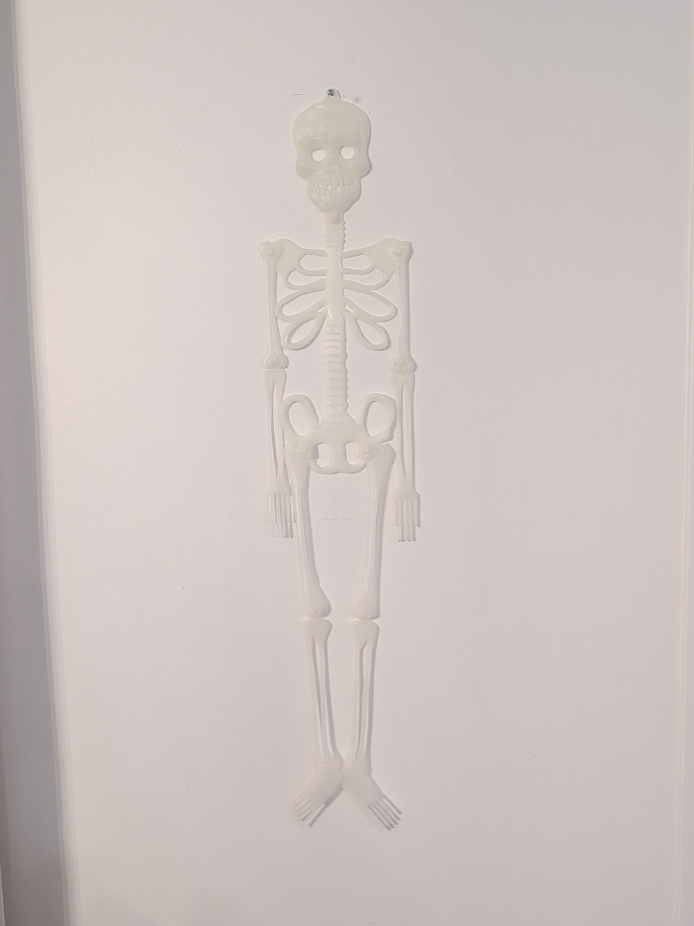 Glow In The Dark Decorative Hanging Skeleton Wall Art